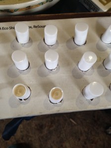 Lip Balm made with Organic Coconut oil, Beeswax and Grapeseed oil