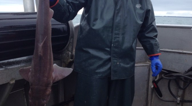 Days getting shorter and the rush is on