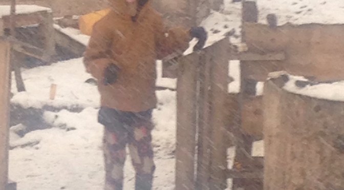 Off grid Q and A’s