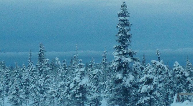 It’s been a great year