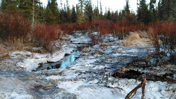 Yay the girls are working again 