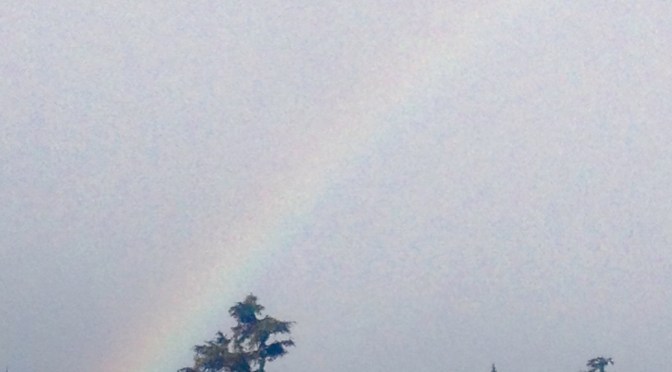 What’s season is it again?