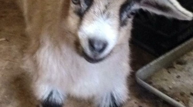 Super mom cape is on and I’m ready!