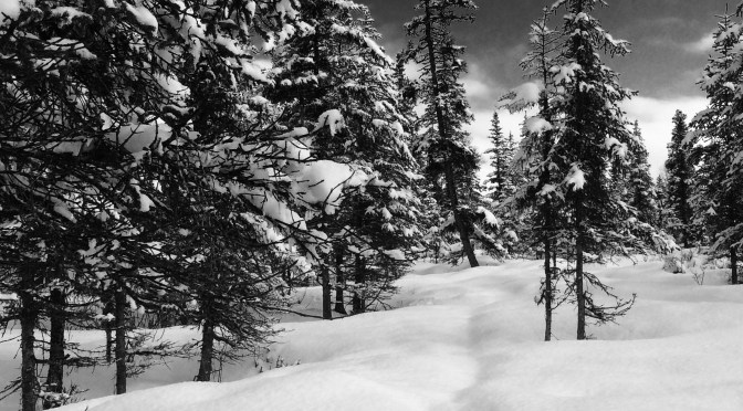 Mommas saying those 4 letter words again