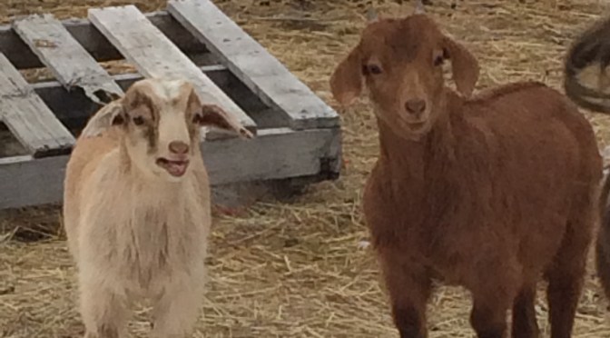 Breaking up is hard to do